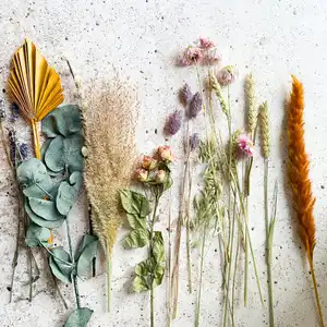 1739962022_Plant, Flowers & Dried Flowers.webp